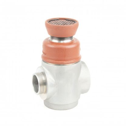Picture of 73501199609 Vacuum Safety Valves