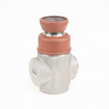 Picture of 73501299609 Vacuum Safety Valves