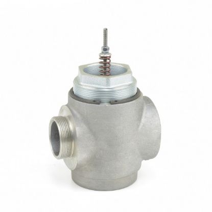 Picture of 73502399609 Vacuum Safety Valves